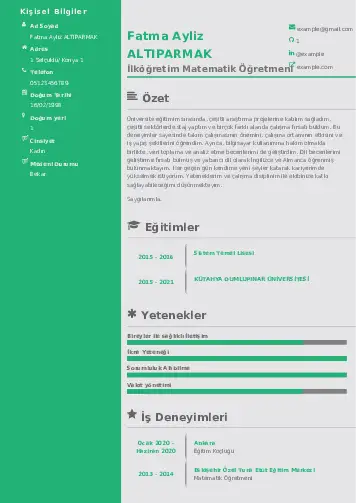 Matematik Öğretmeni Cv Örnekleri cv indir